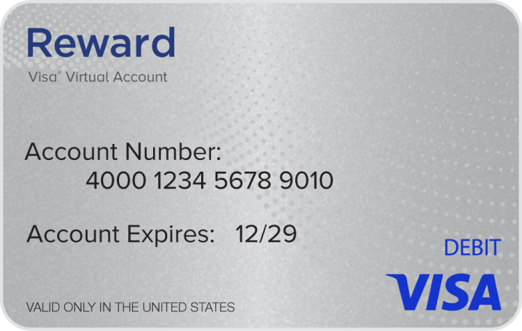 Visa® eReward Card 6Month Expiration Gift Card Shop Your Way